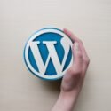 The Pros And Cons Of Using WordPress For Building Your Website